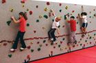 Standard Climbing Wall Panel