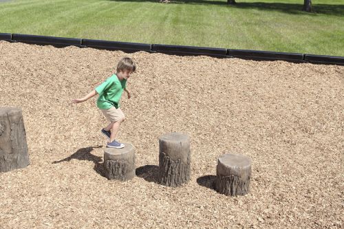 Tree Stumps