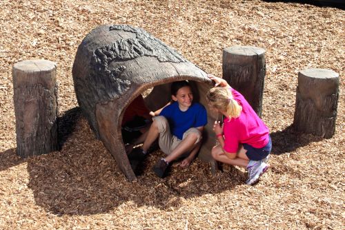 Log Tunnel, 6'